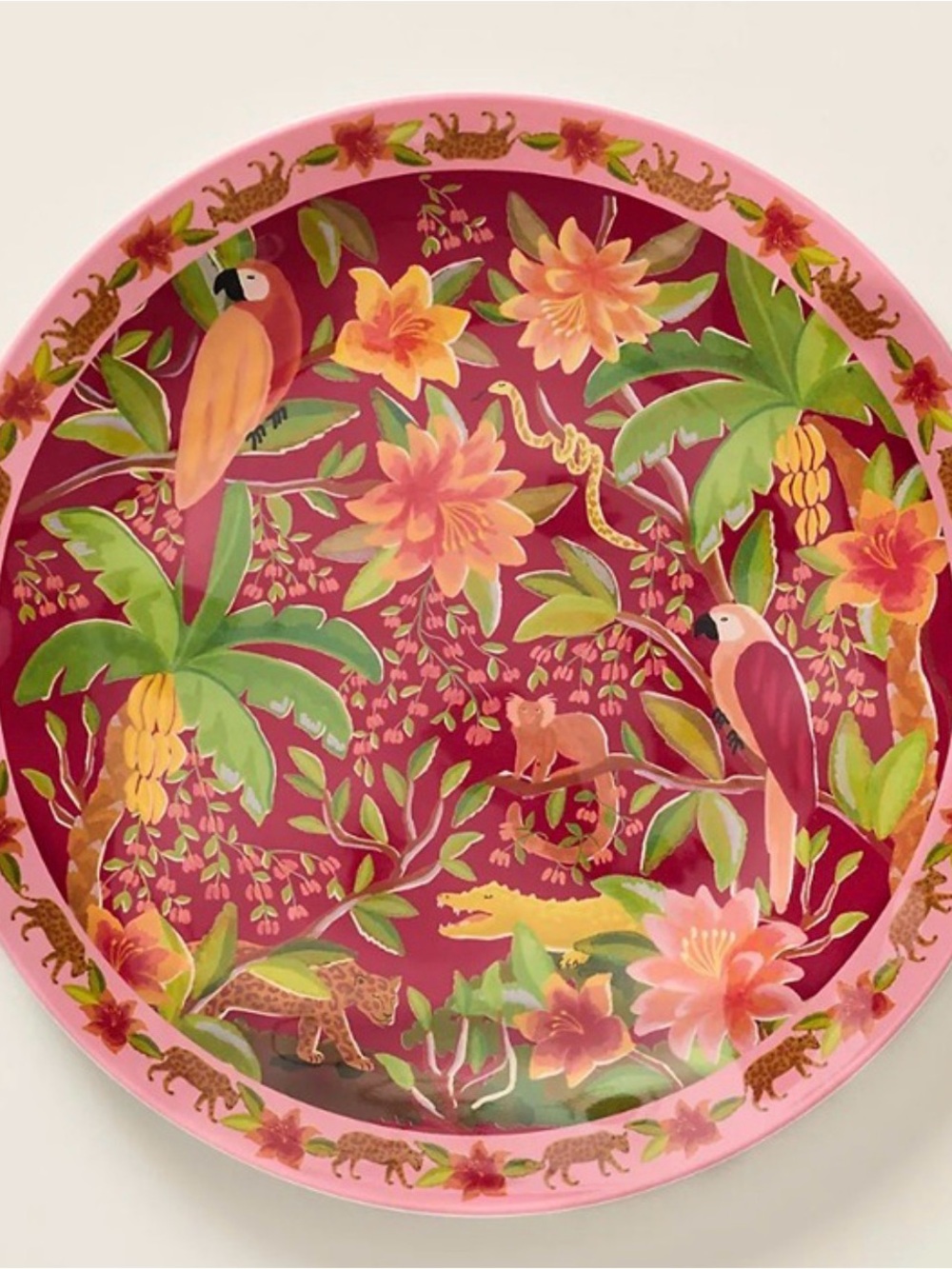 Farm Rio x Anthropologie Melamine Dinner Plate Tropical Red Berry NWT